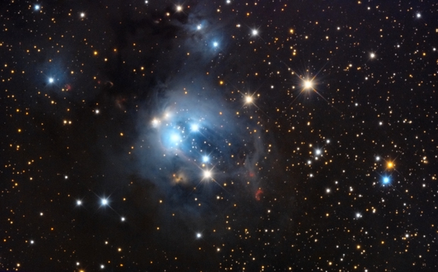 NGC 7129 ( Alberto Pisabarro ) - AstroBin