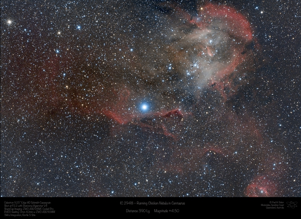 The Running Chicken Nebula (IC 2948) with the Lambda Centauri 