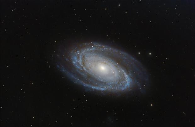 M81 Bode's Galaxy ( Rob O’Donnell ) - AstroBin