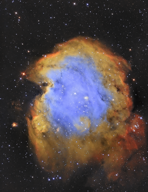 149,156,163,170+Diamirbdg ° Tourenskiset Head  Nebula 78  Wahl 78mm Mitte  ° 