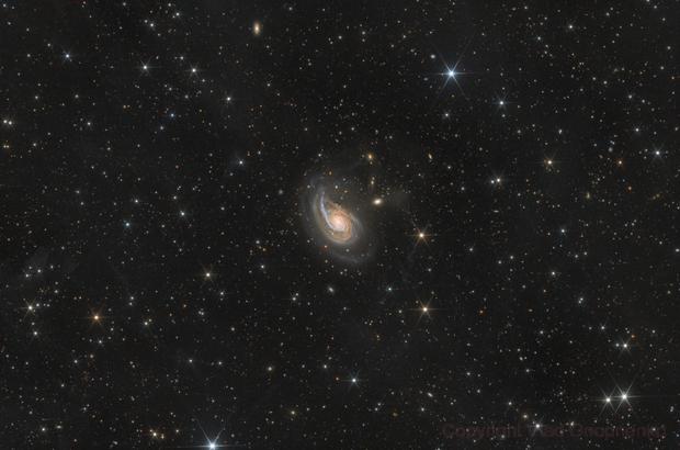NGC 772. Arp 78